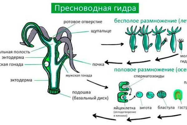 Актуальные ссылки блэкспрут 1blacksprut me