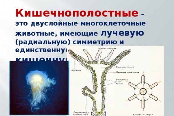 Блэкспрут ссылка blacksprut2web in