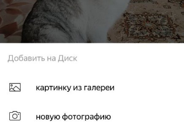 Блэк спрут ссылка bs2web top